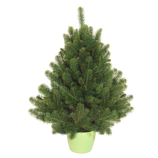 Albero di Natale artificiale TOTAL PE | COLORADO MINI | altezza 80cm - diametro 60cm - rami 74